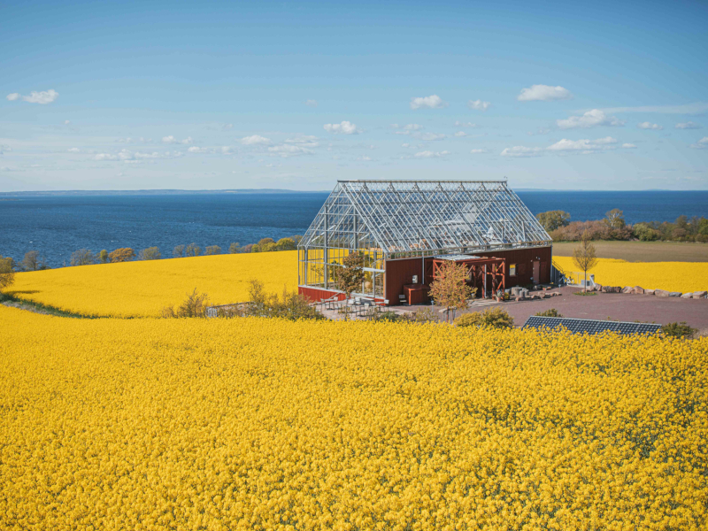 Homes with Glorious Gardens & Greenhouses